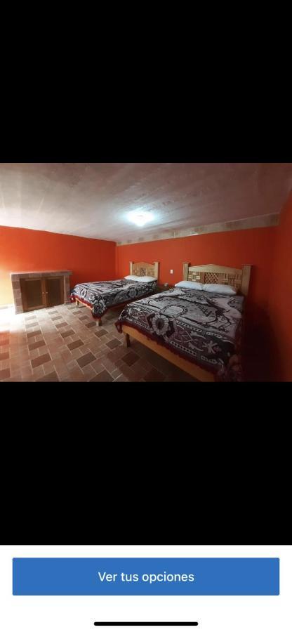 Catorce Hospedaje Alex المظهر الخارجي الصورة